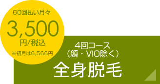 月額13,300円税込 6回コース全身脱毛