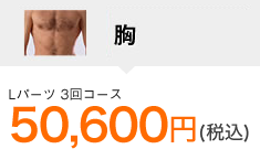 胸月々3,500円(税込)※20回払い ※初月3,535円 ※頭金220円