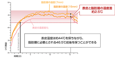 実際の組織内の温度変化 画像