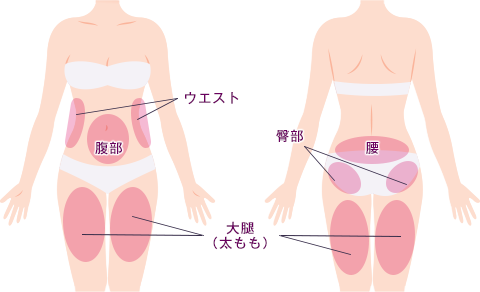 トゥルースカルプ3D 身体画像