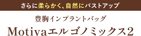 Mitivaエルゴノミックス2