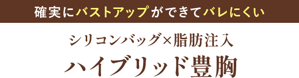 ハイブリッド豊胸