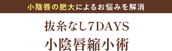 抜糸なし7DAYS小陰唇縮小術