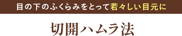 切開ハムラ法