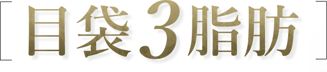 目袋3脂肪