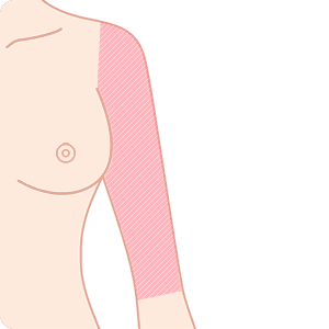 両肘上(両肘上~肩)