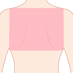 背中(肩胛骨より上)